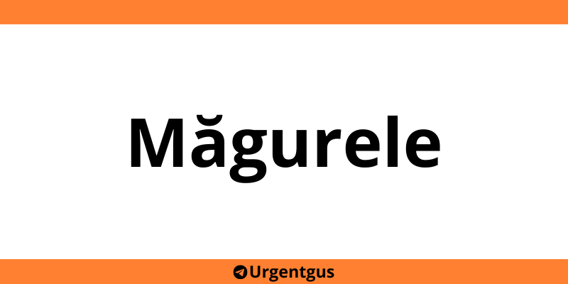 Contact depozit Urgent Cargus Măgurele