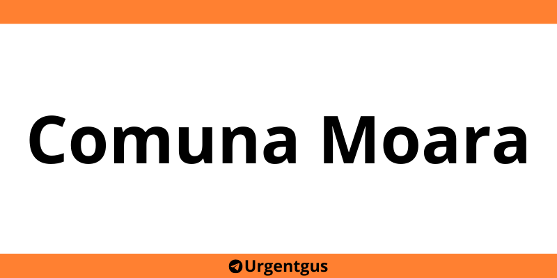 Contact depozit Urgent Cargus Comuna Moara
