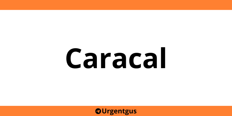 Contact depozit Urgent Cargus Caracal
