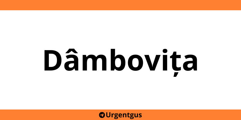 Contact depozit Urgent Cargus Dâmbovița